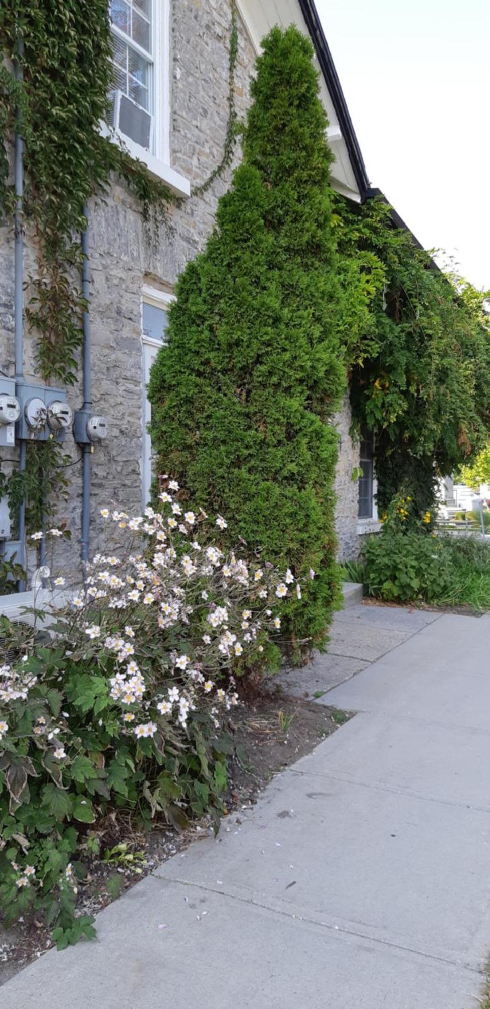 Villa Stone Carriage House à Picton Extérieur photo