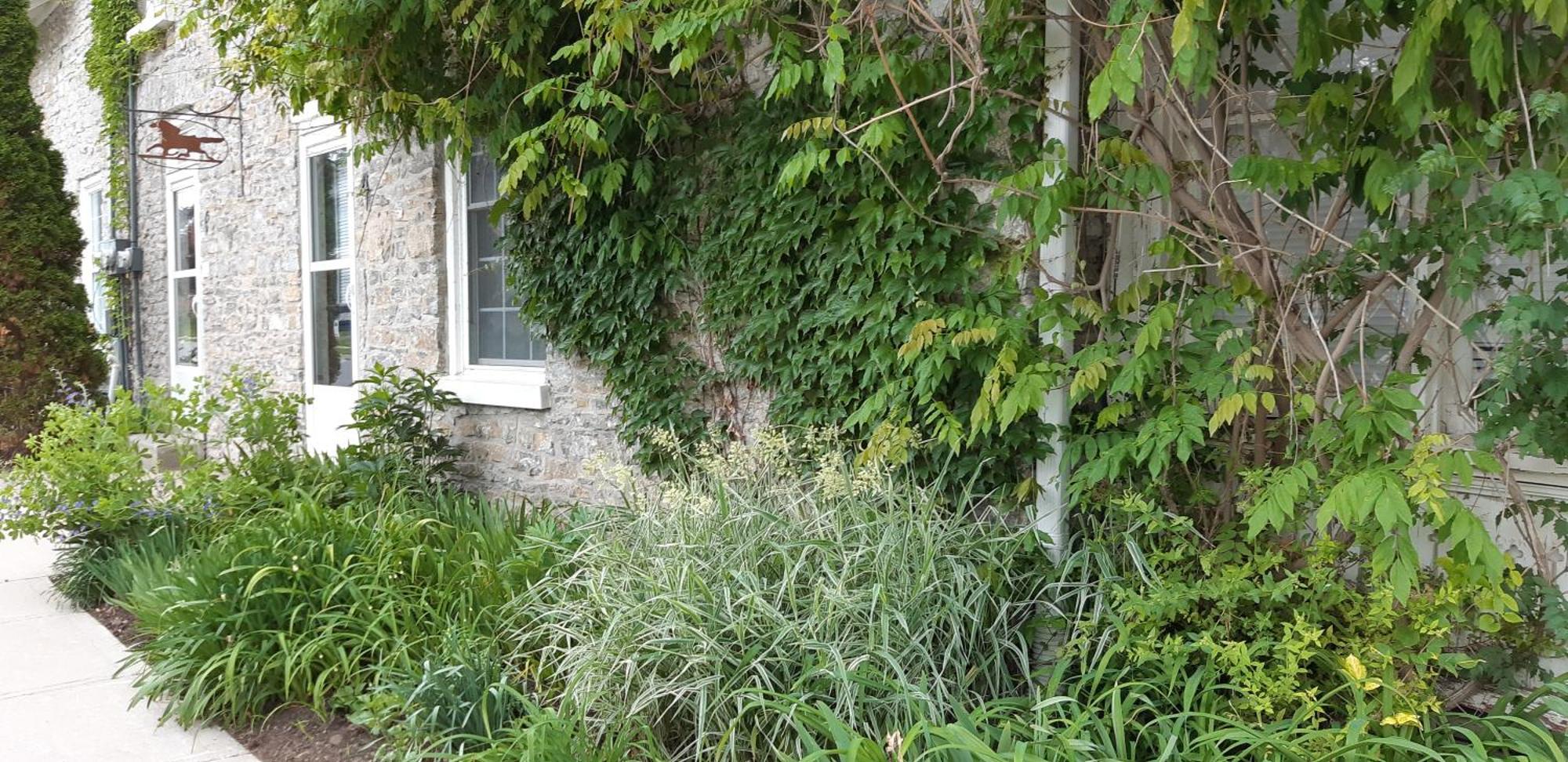 Villa Stone Carriage House à Picton Extérieur photo