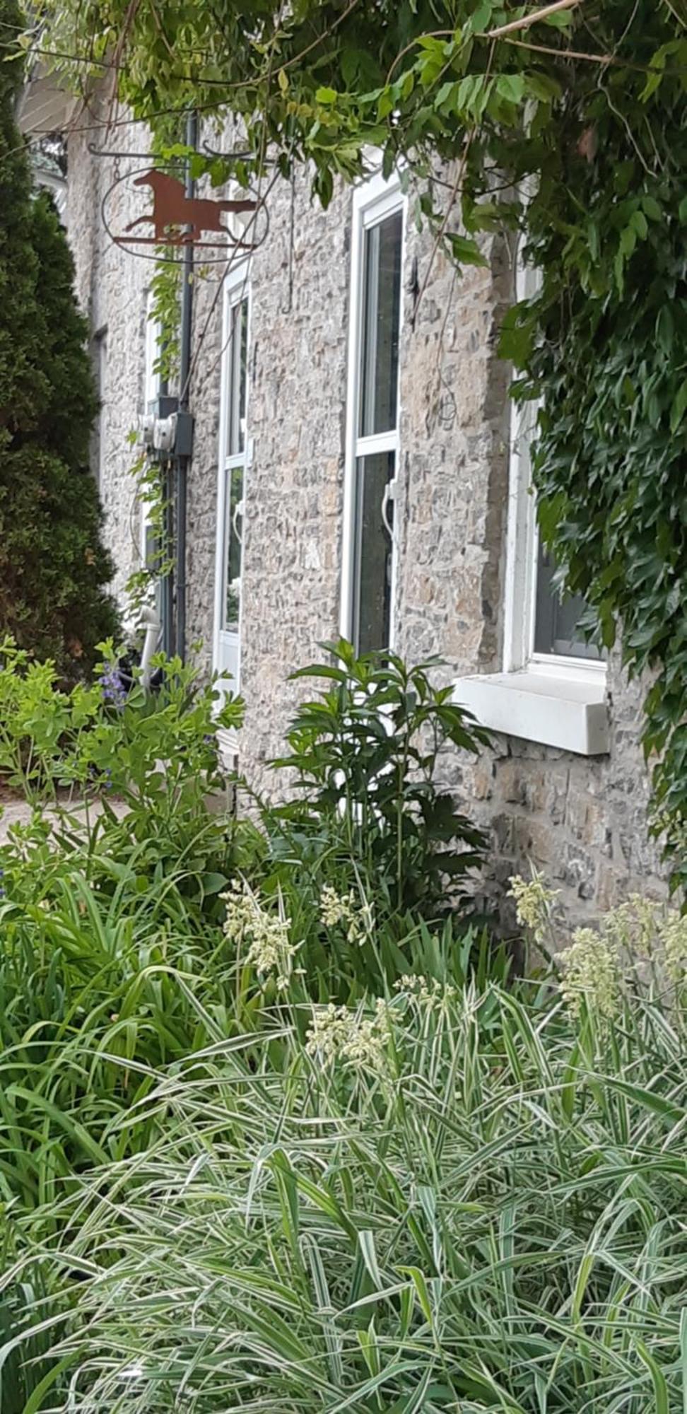 Villa Stone Carriage House à Picton Extérieur photo